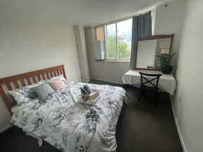 Big room in two bedroom apartment shared with only one person